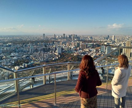 Tokyo City View at Roppongi Hills 六本木ヒルズ 東京シティビュー