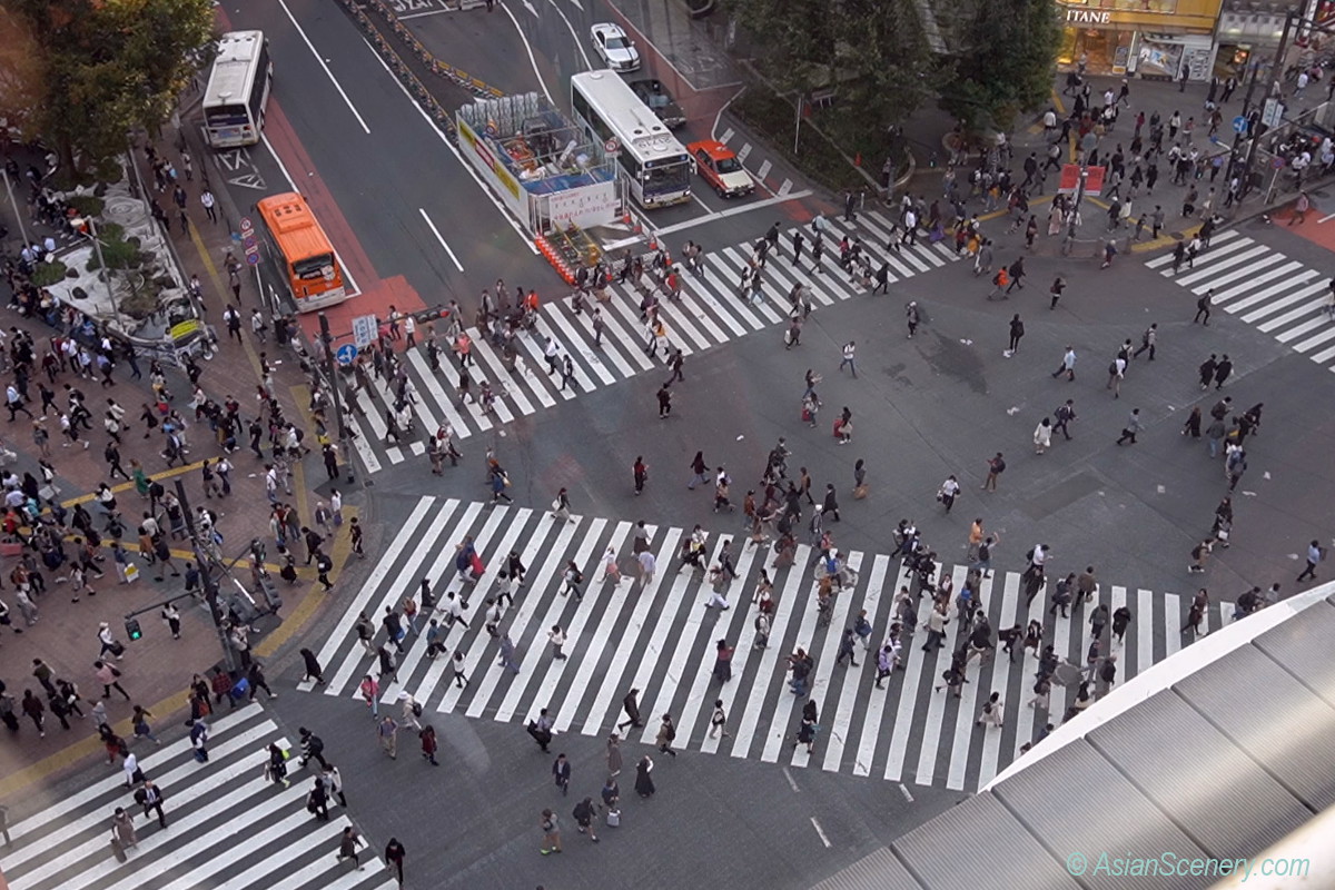 Looking down Shibuya scramble intersection from the sky 渋谷スクランブル交差点を上空から見下ろす