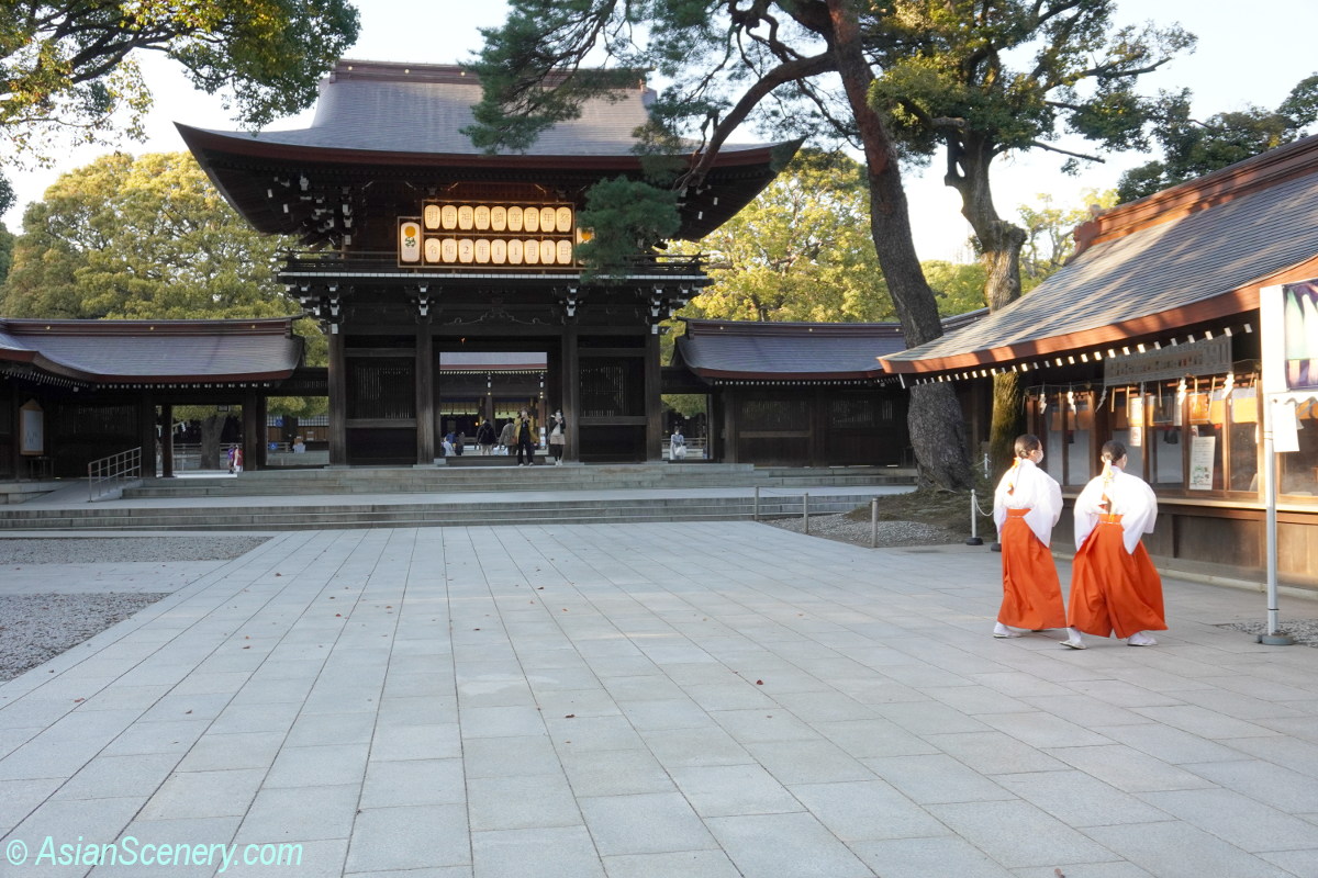 Meiji Jingu, magnificent shrine right in the middle in Tokyo 東京中心部にありながら広大で荘厳な神社「明治神宮」